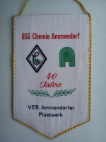 /album/halle-saale/bsg-chemie-ammendorf-halle-40-25-jpg/